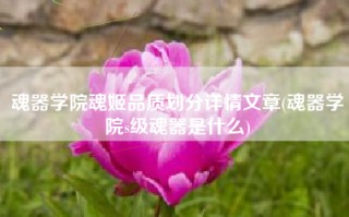 魂器学院魂姬品质划分详情文章(魂器学院s级魂器是什么)