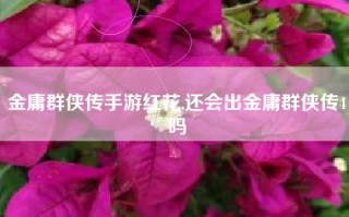 金庸群侠传手游红花,还会出金庸群侠传4吗