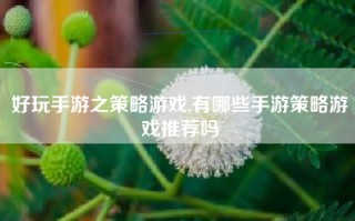 好玩手游之策略游戏,有哪些手游策略游戏推荐吗