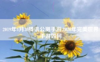2019年4月30腾讯公测手游,2020年完美世界手游如何