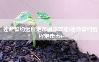 苍蓝誓约远程炮击副本攻略(苍蓝誓约远程炮击五)