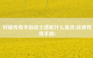 轩辕传奇手游战士搭配什么器灵(战神传奇手游)