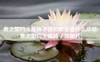 食之契约火晶柿子饼的职业是什么攻略(食之契约火晶柿子饼图片)