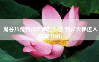 鬼谷八荒封神天梯怎么进(封神天梯进入位置介绍)