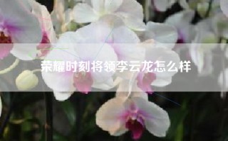 荣耀时刻将领李云龙怎么样