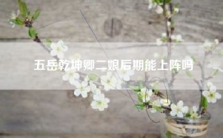 五岳乾坤卿二娘后期能上阵吗