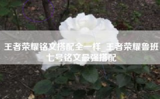 王者荣耀铭文搭配全一样_王者荣耀鲁班七号铭文最强搭配