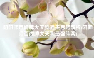 阴阳师百闻牌大天狗通关思路解析(阴阳师百闻牌大天狗最强阵容)