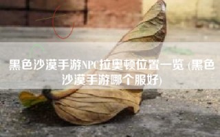 黑色沙漠手游NPC拉奥顿位置一览 (黑色沙漠手游哪个服好)