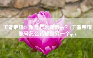 王者荣耀：账号怎么卖出去？(王者荣耀账号怎么转移到另一个qq)