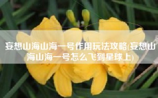 妄想山海山海一号作用玩法攻略(妄想山海山海一号怎么飞到星球上)