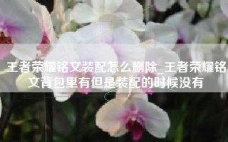 王者荣耀铭文装配怎么删除_王者荣耀铭文背包里有但是装配的时候没有