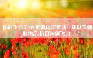 神准飞刀王NPC的具体位置谈一谈以及领取物品(抗日神剧飞刀)