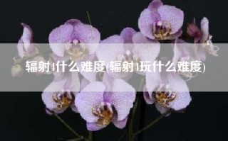 辐射4什么难度(辐射4玩什么难度)