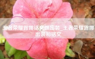 王者荣耀露娜铭文跟出装_王者荣耀露娜出装和铭文