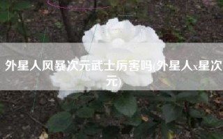 外星人风暴次元武士厉害吗(外星人x星次元)