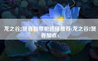 龙之谷2贤者和祭祀选择推荐(龙之谷2贤者加点)