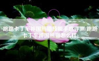 跑跑卡丁车神国熊猫技能手感评测(跑跑卡丁车神国熊猫怎么样)
