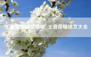 王者荣耀铭文爆吸_王者荣耀铭文大全