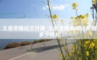 王者荣耀铭文开通_王者荣耀满级铭文要多少碎片