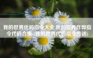 我的世界代码指令大全,我的世界作弊指令代码合集-(我的世界代码指令传送)
