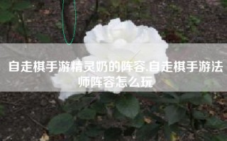 自走棋手游精灵奶的阵容,自走棋手游法师阵容怎么玩