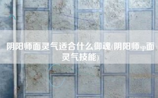 阴阳师面灵气适合什么御魂(阴阳师sp面灵气技能)