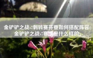 金铲铲之战s7刺转赛芬要如何搭配阵容(金铲铲之战s7赛季是什么样的)