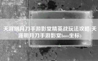 天涯明月刀手游影堂精英战玩法攻略(天涯明月刀手游影堂boss坐标)