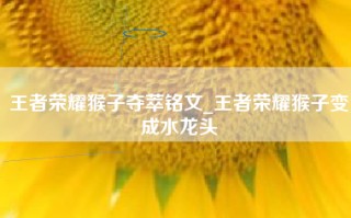 王者荣耀猴子夺萃铭文_王者荣耀猴子变成水龙头