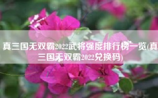 真三国无双霸2022武将强度排行榜一览(真三国无双霸2022兑换码)