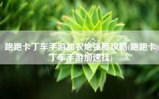 跑跑卡丁车手游加农炮强度攻略(跑跑卡丁车手游加速挂)