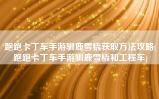 跑跑卡丁车手游驯鹿雪橇获取方法攻略(跑跑卡丁车手游驯鹿雪橇和工程车)