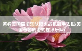 著名美国摇滚乐队喷火战机鼓手去世(美国著名的老式摇滚乐队)