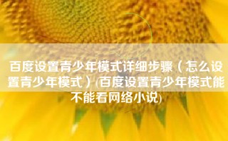 百度设置青少年模式详细步骤（怎么设置青少年模式）(百度设置青少年模式能不能看网络小说)