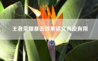 王者荣耀暴击效果铭文有没有用