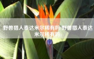 野兽猎人泰达米尔稀有吗(野兽猎人泰达米尔稀有吗)