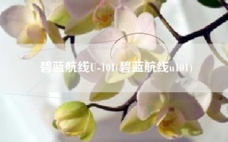 碧蓝航线U-101(碧蓝航线u101)
