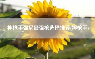 神枪手强尼最强枪选择推荐(神枪手)