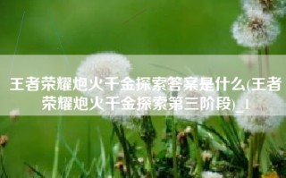 王者荣耀炮火千金探索答案是什么(王者荣耀炮火千金探索第三阶段)_1