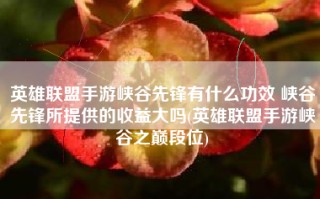 英雄联盟手游峡谷先锋有什么功效 峡谷先锋所提供的收益大吗(英雄联盟手游峡谷之巅段位)