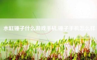 水缸锤子什么游戏手机,锤子手机怎么样
