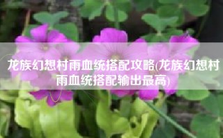 龙族幻想村雨血统搭配攻略(龙族幻想村雨血统搭配输出最高)