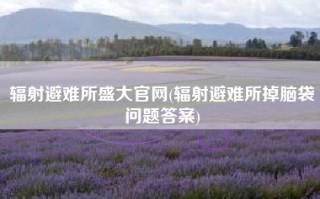 辐射避难所盛大官网(辐射避难所掉脑袋问题答案)
