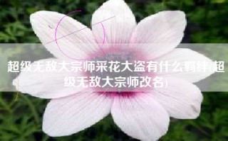 超级无敌大宗师采花大盗有什么羁绊(超级无敌大宗师改名)