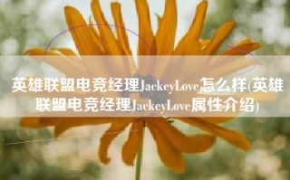 英雄联盟电竞经理JackeyLove怎么样(英雄联盟电竞经理JackeyLove属性介绍)