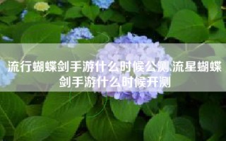 流行蝴蝶剑手游什么时候公测,流星蝴蝶剑手游什么时候开测