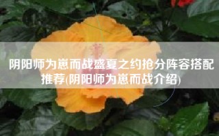 阴阳师为崽而战盛夏之约抢分阵容搭配推荐(阴阳师为崽而战介绍)
