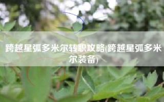 跨越星弧多米尔转职攻略(跨越星弧多米尔装备)