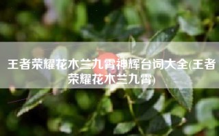 王者荣耀花木兰九霄神辉台词大全(王者荣耀花木兰九霄)